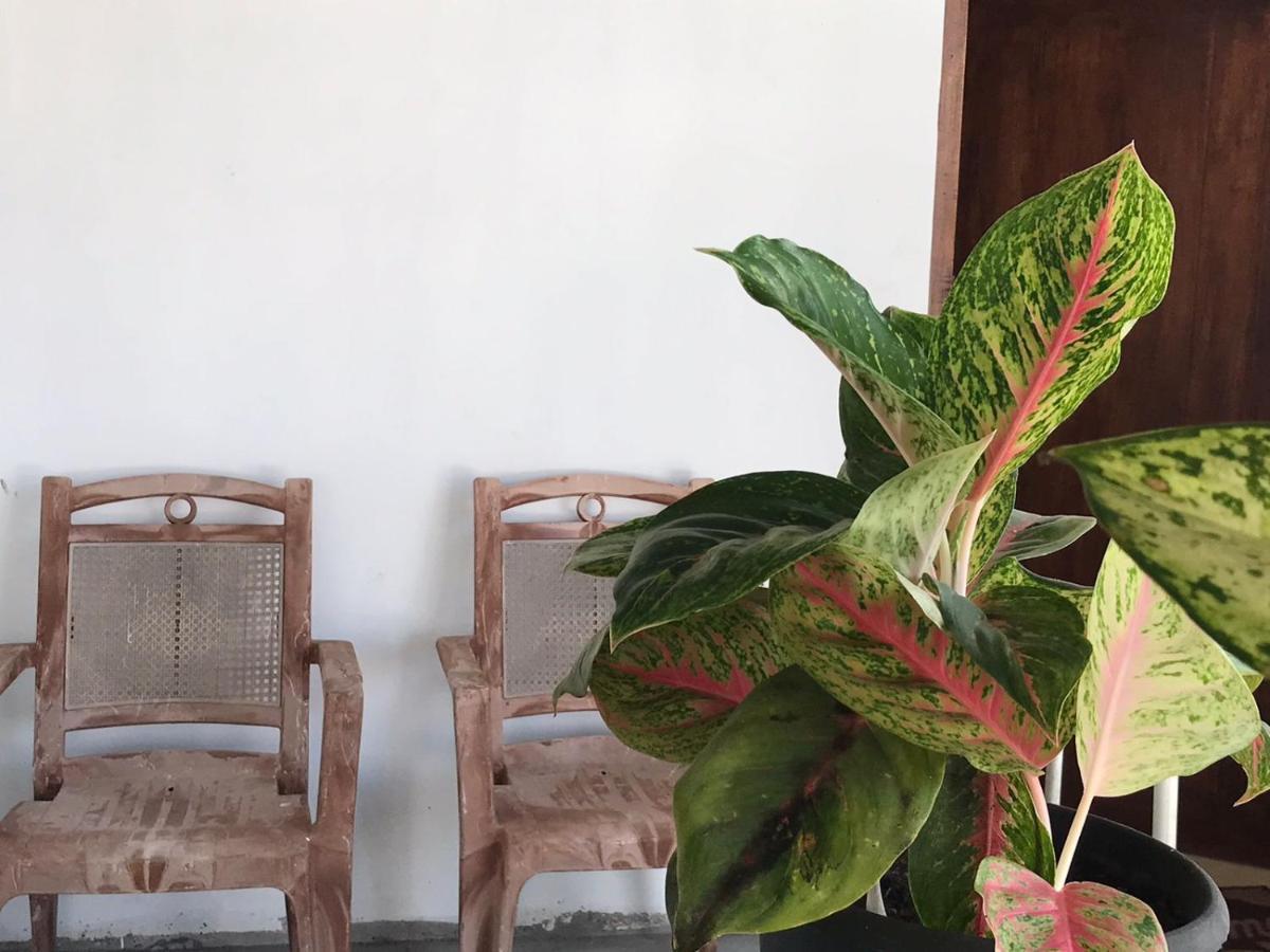 Anna Tourist Inn Negombo Luaran gambar